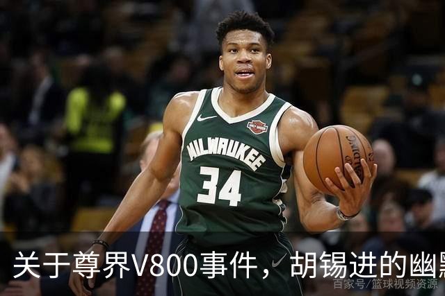 关于尊界V800事件，胡锡进的幽默解析与深刻思考